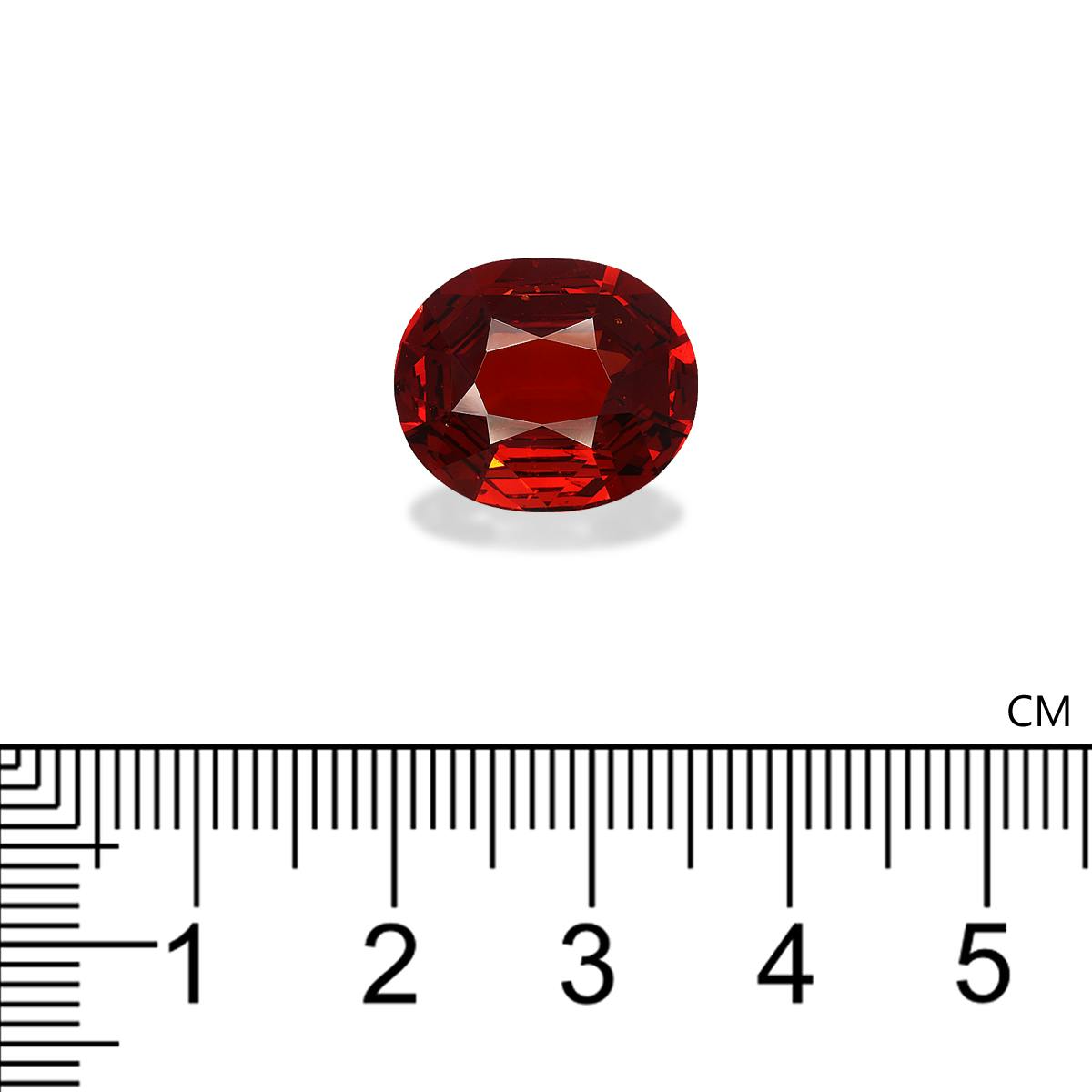 Spessartite Garnet 9.84 ct